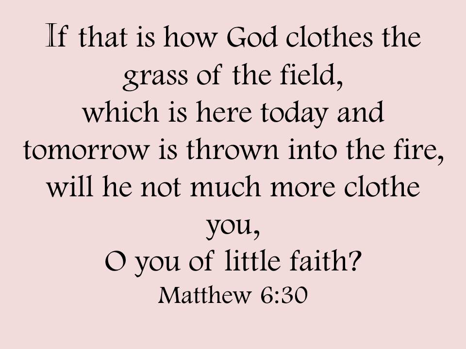 Faith Matthew 6:30